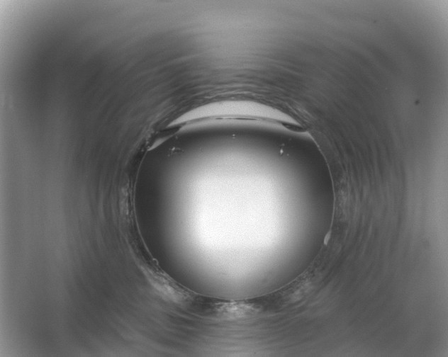 X0000064760379200602241924