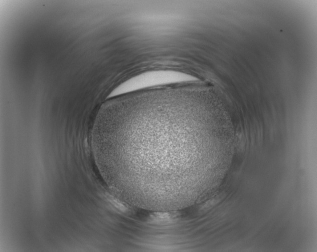 X0000064760381200602241924