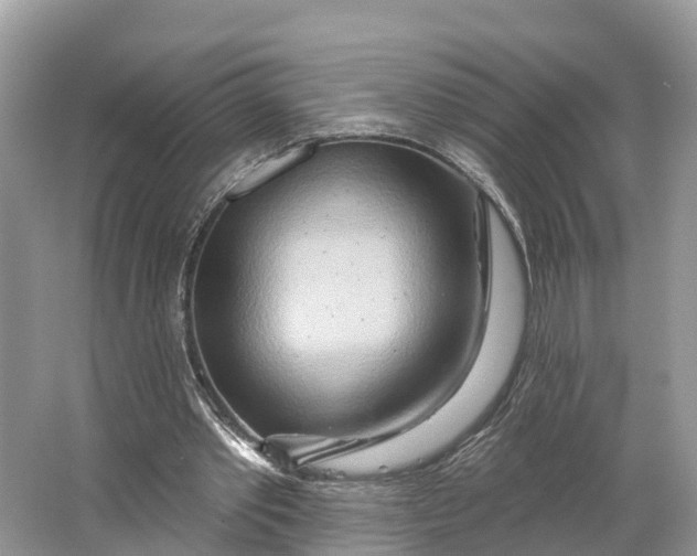 X0000064760389200602241923