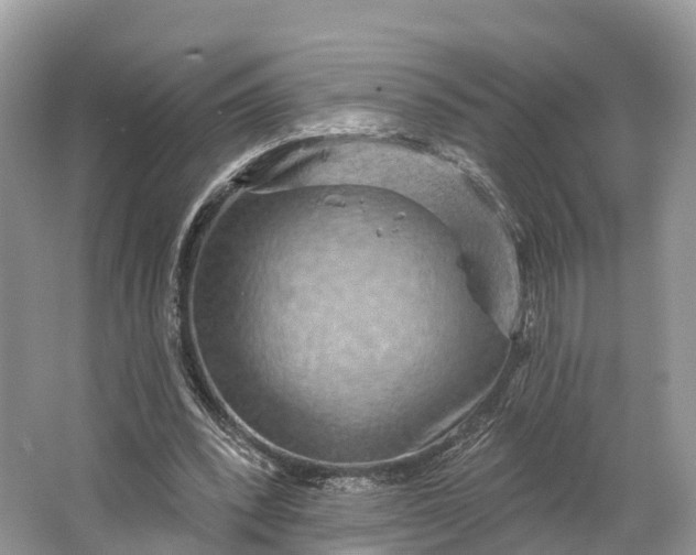 X0000064760392200602241923