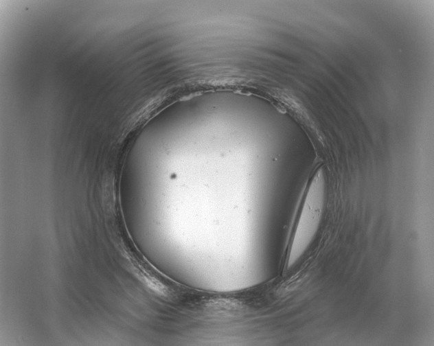 X0000064760397200602241923