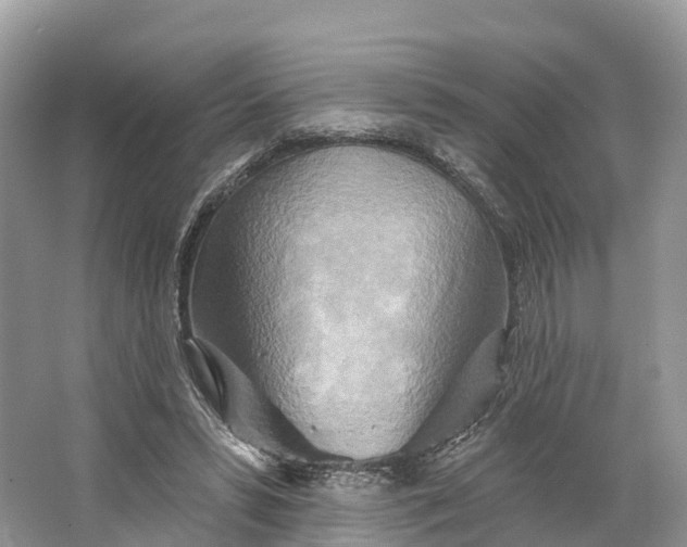 X0000064760399200602241923