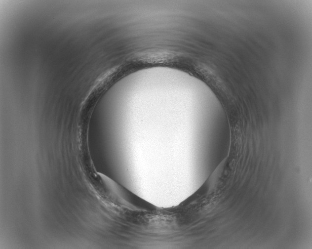 X0000064760400200602241923