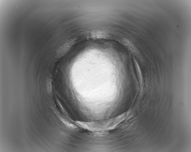 X0000064760401200602241923