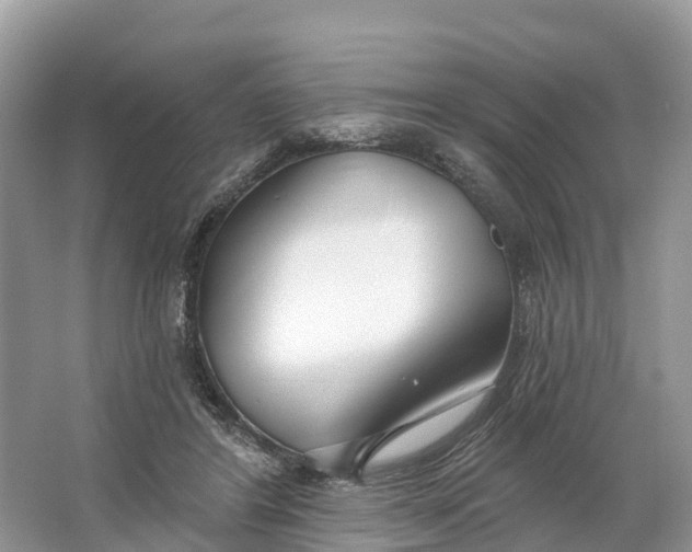 X0000064760404200602241923