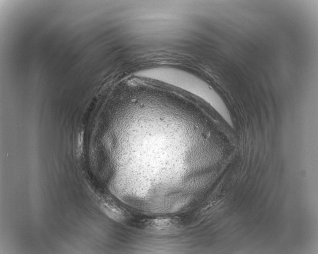 X0000064760406200602241923