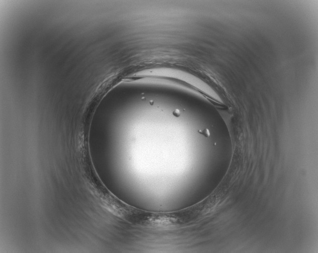 X0000064760407200602241923