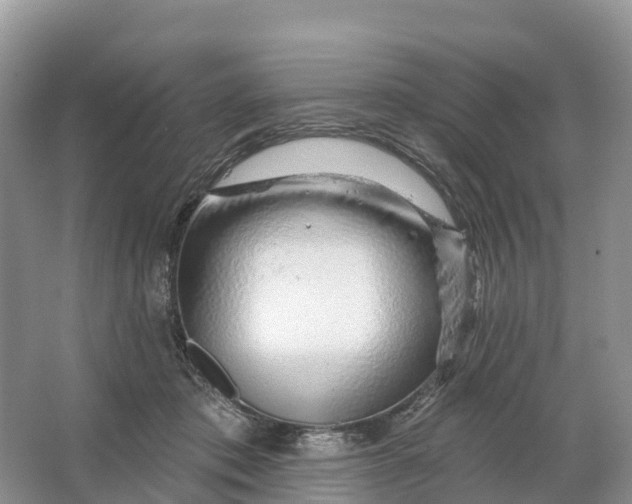 X0000064760413200602241922