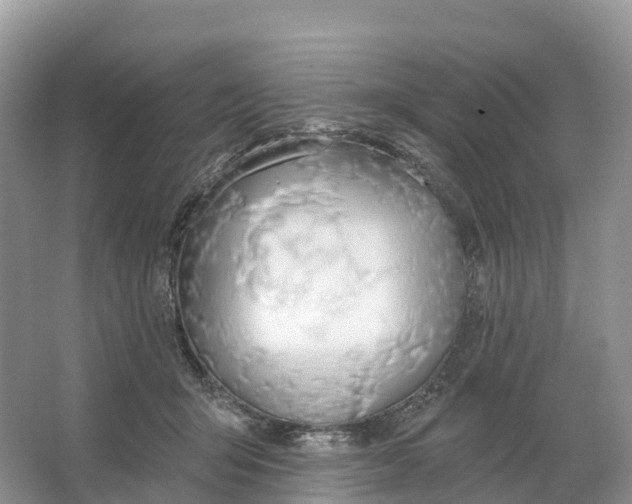 X0000064760415200602241922