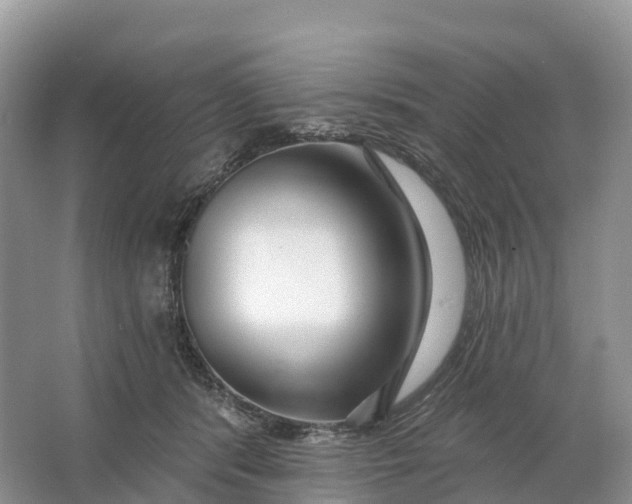 X0000064760416200602241922