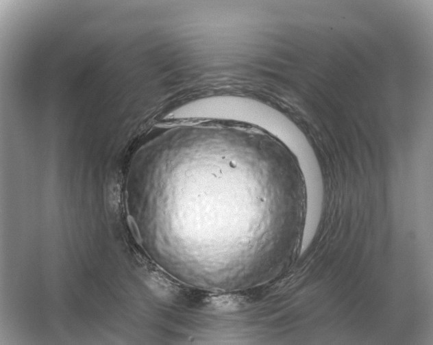 X0000064760417200602241922