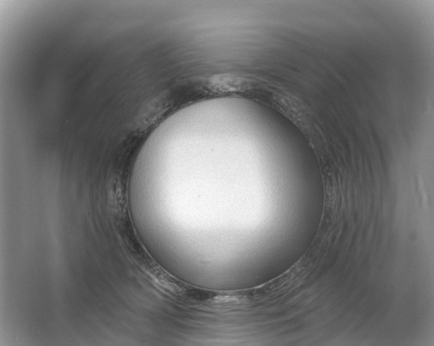 X0000064760418200602241922