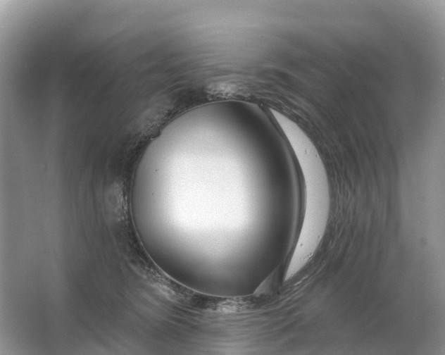 X0000064760420200602241922