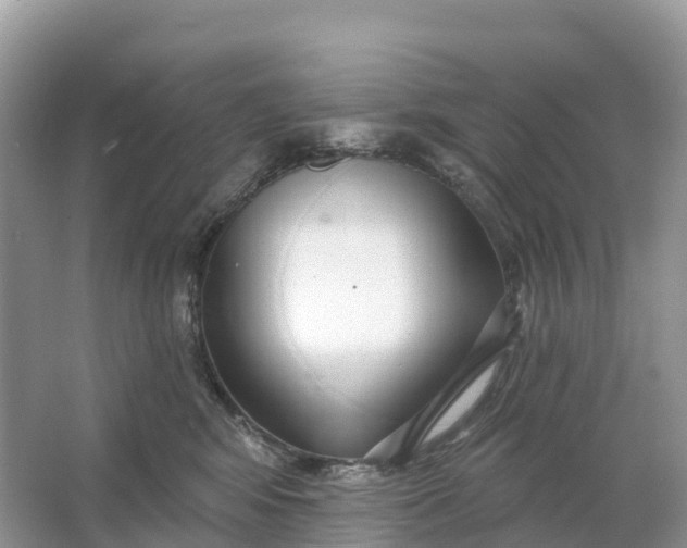X0000064760424200602241922