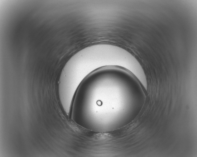 X0000064760427200602241922