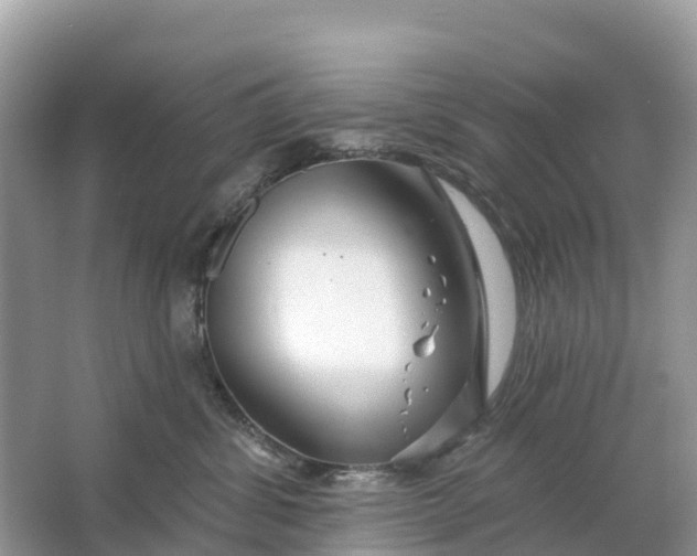 X0000064760428200602241922