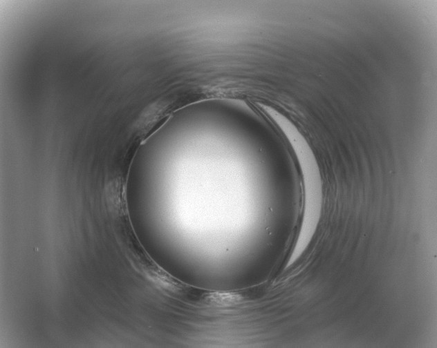 X0000064760429200602241922