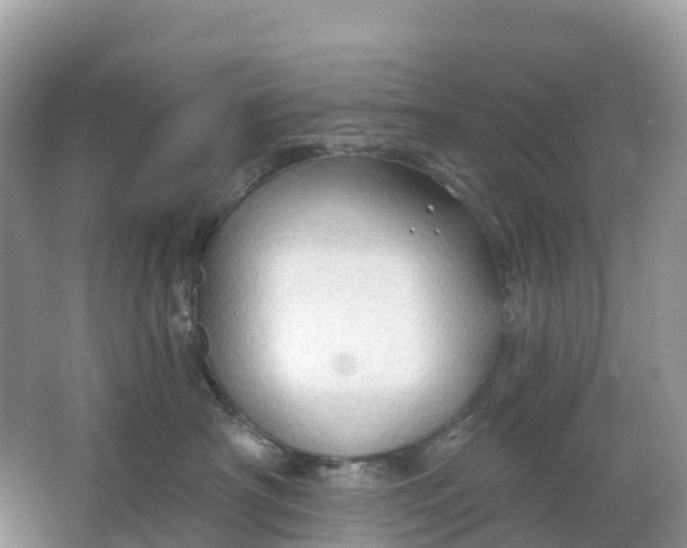X0000064760430200602241922