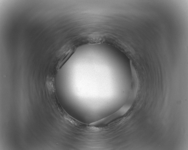 X0000064760432200602241922