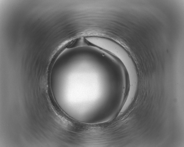 X0000064760438200602241921