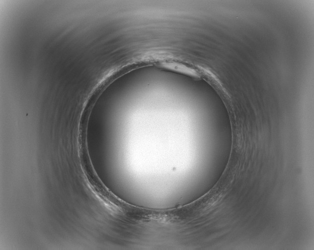 X0000064760439200602241921