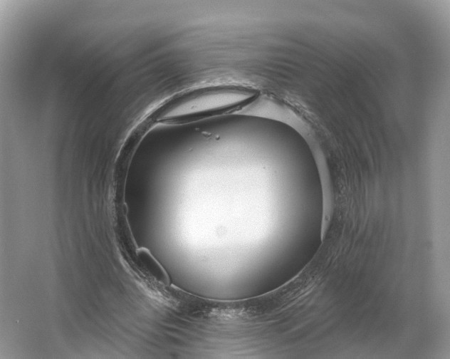 X0000064760440200602241921