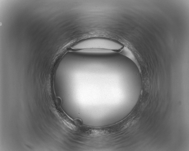 X0000064760442200602241921
