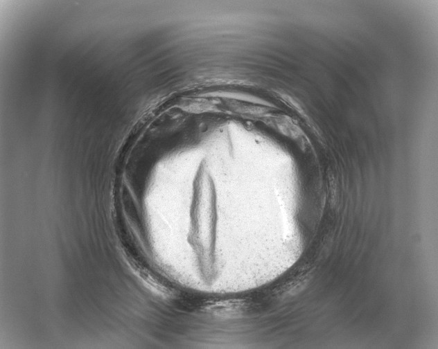 X0000064760447200602241921