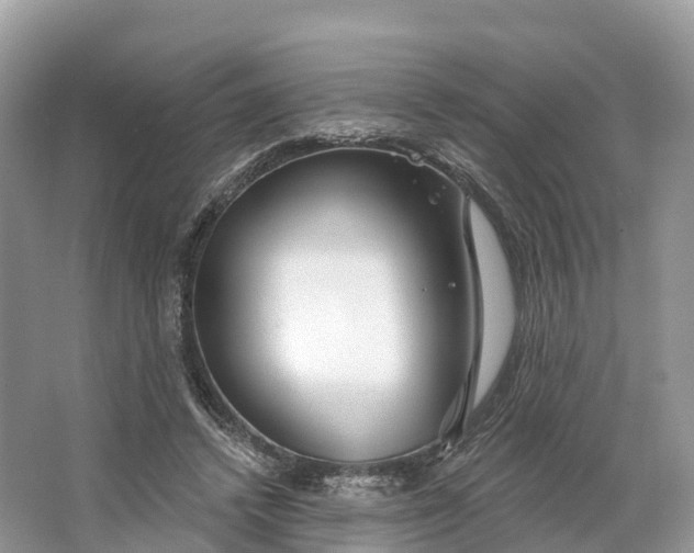 X0000064760448200602241921