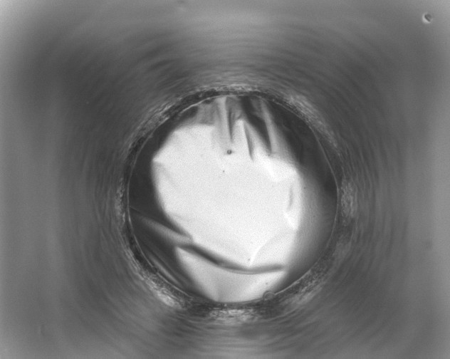 X0000064760449200602241921