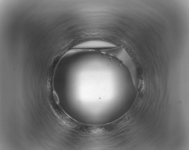 X0000064760456200602241921
