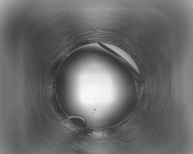 X0000064760464200602241921