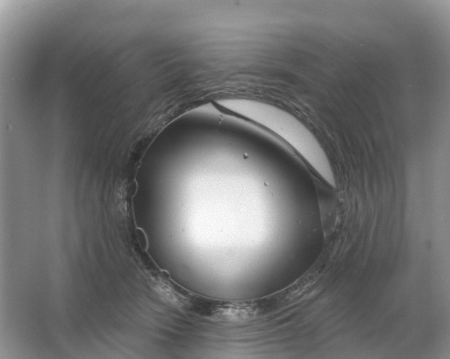 X0000064760466200602241922