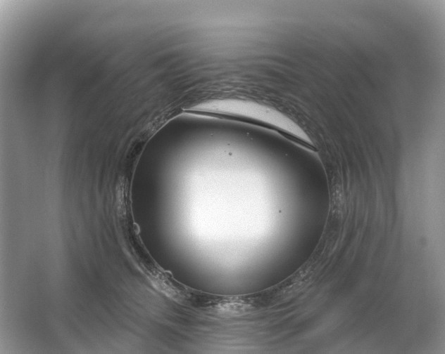 X0000064760468200602241922