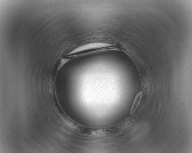 X0000064760470200602241922