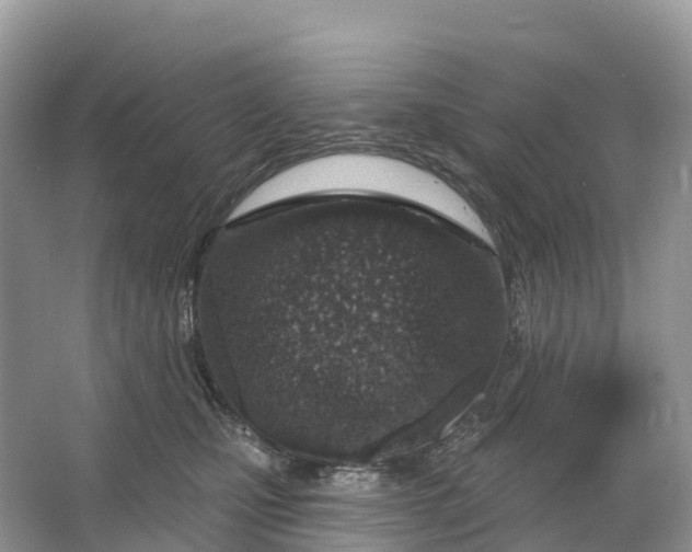 X0000064760471200602241922