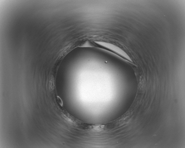 X0000064760474200602241922