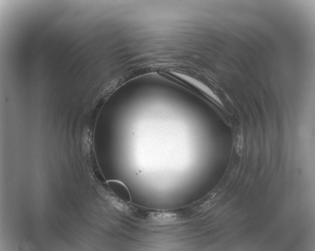 X0000064760476200602241922