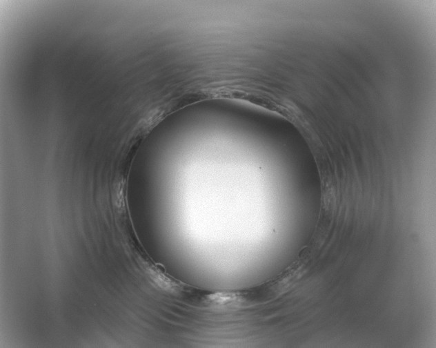 X0000064760477200602241922