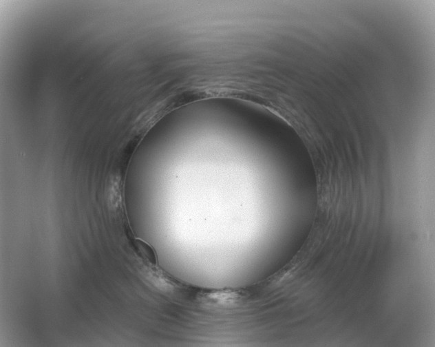 X0000064760478200602241922