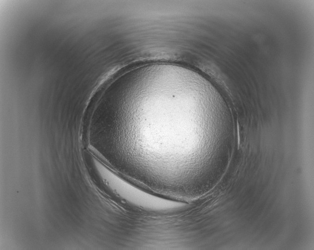 X0000064760483200602241921