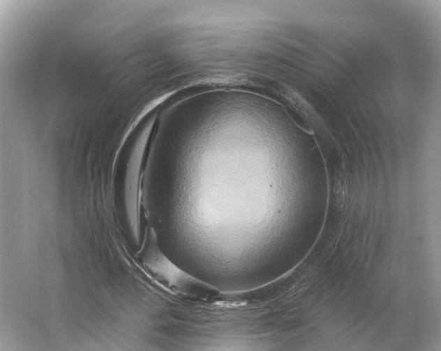 X0000064760484200602241921