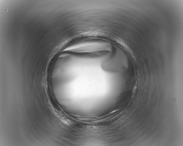 X0000064760486200602241921