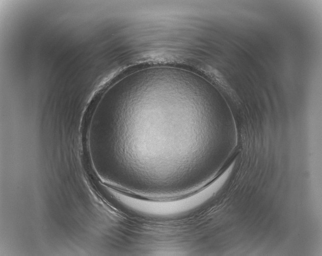 X0000064760488200602241920