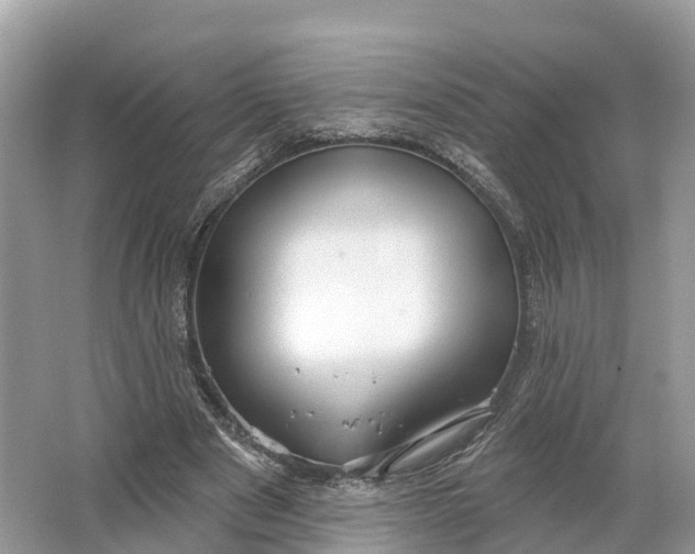 X0000064760489200602241920