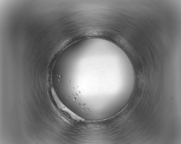 X0000064760490200602241920