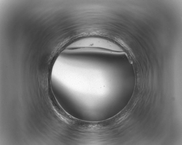 X0000064760493200602241920