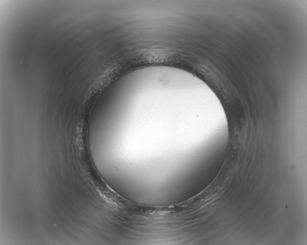 X0000064760497200602241920