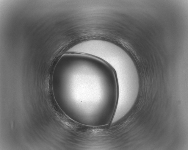 X0000064760501200602241920