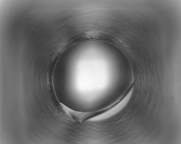 X0000064760508200602241920